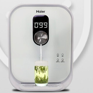 Haier 海尔 HGR1907BP 家用管线机