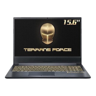 TERRANS FORCE 未来人类 X521 15.6英寸 游戏本 黑色(酷睿i7-11800H、RTX 3060、16GB、1T PCIe SSD、Laptop 240Hz)