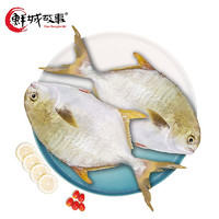 鲜城故事 速冻珠海万山金鲳鱼1KG（2条）有机无公害认证轻食海鲜水产