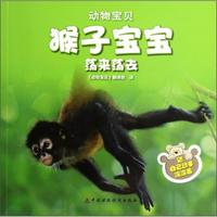 《动物宝贝·猴子宝宝荡来荡去》