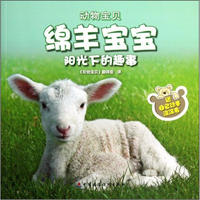 《动物宝贝·绵羊宝宝阳光下的趣事》