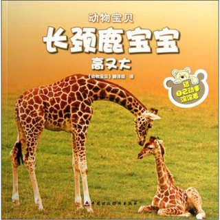 《动物宝贝·长颈鹿宝宝高又大》
