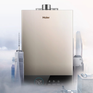 Haier 海尔 JSQ31-16JM9(12T) 燃气热水器 16L