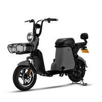 SUNRA 新日 C2 电动自行车 TDTZD-0451 48V12Ah锂电池 勒芒灰