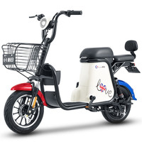 SUNRA 新日 C1 电动自行车 TDTZD-045 48V12Ah锂电池 极光炫白/海棠红/科技蓝