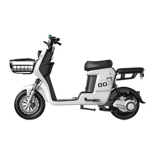 ZB 正步 A9 电动自行车 TDT025Z 48V25Ah锂电池 黑色 外卖版