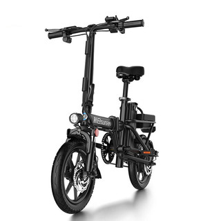 SUNRA 新日 电动自行车 TDTZH-205Z 48V8Ah锂电池 神秘黑 基础畅行版