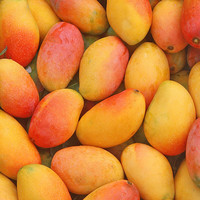 国产贵妃芒果甄选5斤装