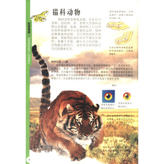 《中国儿童百科全书·动物植物》（新版）