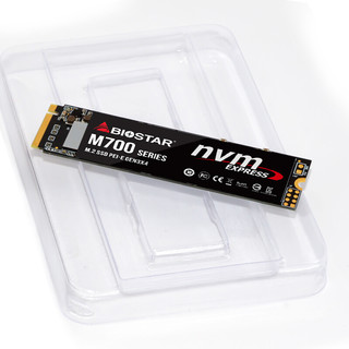 BIOSTAR 映泰 M700 NVMe M.2 固态硬盘 1TB（PCI-E3.0）