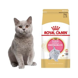 ROYAL CANIN 皇家 BSK38英国短毛猫幼猫猫粮