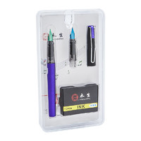 YONGSHENG 永生 钢笔 9172 紫色 0.38mm 单支装