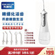 京东PLUS会员：东耐伦 DongNaiLun）电动冲牙器  清洁口腔洗牙器