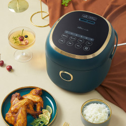 bear小熊dfbp30r3家用多功能全自动煮饭锅3l