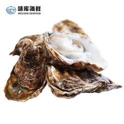 wecook味库鲜活乳山生蚝 毛重5斤装海蛎烧烤食材 净4斤装140-120g/只