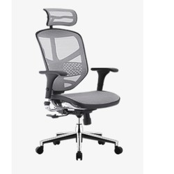 Ergonor 保友办公家具 金豪e精英版 人体工学椅电脑椅 黑色（仿生网）