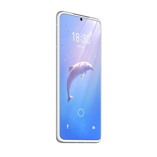 MEIZU 魅族 18 中华白海豚珍稀礼盒版 5G手机 12GB+256GB 白海逐浪