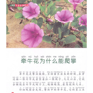 《中国儿童成长必读书·十万个为什么：植物王国》（彩色图文版）