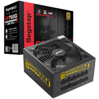 Segotep 鑫谷 GP750G 爱国版 金牌（90%）全模组ATX电源 650W