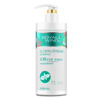 追风 去屑洗发露 控油怡神型 480g