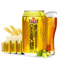 珠江啤酒 10度 珠江金麦穗啤酒 330ml*24听 整箱装