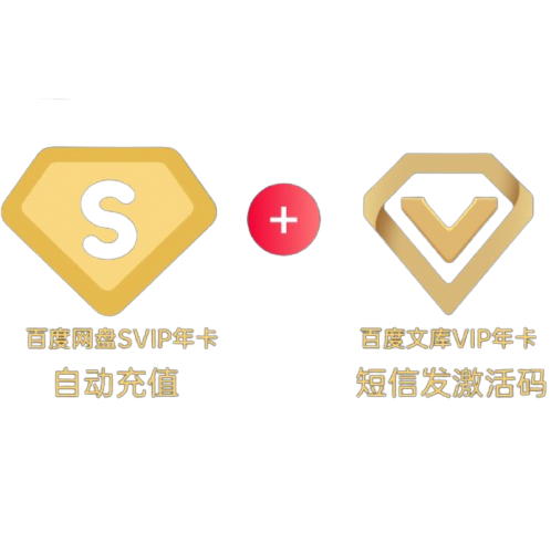 Baidu 百度 网盘超级会员 13个月