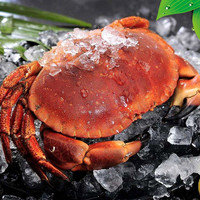 星河湾 面包蟹/黄金蟹 400g*5只