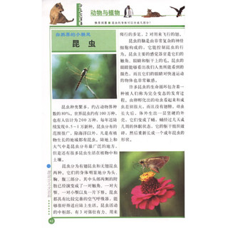 《中国孩子必备的图说少儿大百科》（彩图版、套装共4册）