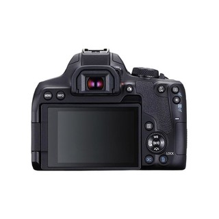 Canon 佳能 EOS 850D APS-C画幅 数码单反相机 黑色 50mm F1.8 STM 定焦镜头 单镜头套机