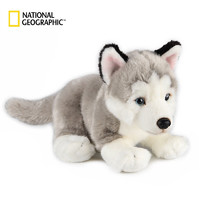 国家地理（National Geographic）萌宠系列 礼盒版 26cm 哈士奇 仿真动物毛绒玩具公仔亲子送女友生日礼物