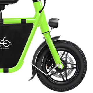 FIIDO Q1 电动自行车 TDT003Z 36V10.4Ah锂电池 草木绿 豪华版