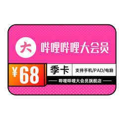 哔哩哔哩大会员 3个月