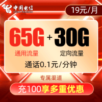 CHINA TELECOM 中国电信 小翼卡（65GB通用流量+30GB定向流量，19元月租）