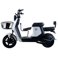 SUNRA 新日 GT2-G 电动自行车 TDT0520Z 48V20Ah锂电池 白色