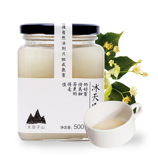 BEIDAHUANG 北大荒 东北黑蜂 冰天雪蜜 500g