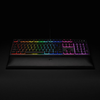 RAZER 雷蛇 雨林狼蛛幻彩版 104键 有线薄膜键盘 黑色 RGB