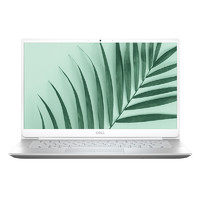 DELL 戴尔 灵越 5498 14.0英寸 轻薄本 银色(酷睿i7-10510U、MX250、8GB、1TB SSD、1080P、IPS、60Hz、R1825S)+WM126鼠标