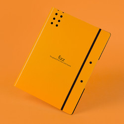 fizz 飞兹 高质感A4加厚试卷夹/文件夹板/资料夹/办公用品 橙色A6382