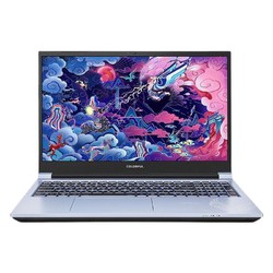 COLORFUL 七彩虹 将星X15 15.6英寸游戏笔记本电脑（i7-11800H、16GB、512GB、RTX3060）