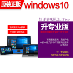 什奇 微软系统盘windows10正版系统u盘 win10家庭升级专业  在线发 无票