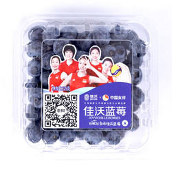 JAVA 佳沃 国产蓝莓 125g/盒