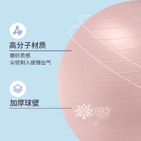 加厚防爆】瑜伽球健身球平衡球孕妇专用助产分娩儿童感统训练球