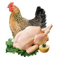 ECO FARM 依禾农庄 农村土鸡老母鸡新鲜2年柴鸡笨鸡 新鲜鸡肉 净重2kg/只 整鸡 年货节送礼