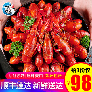 一虾一世界 麻辣小龙虾加热即食750g（净虾500g) 4-6钱19-22只 麻辣小龙虾