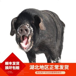 野蛮香 东北新鲜现杀生鲜 长白山脉健康黑猪肉一头 毛重315斤左右