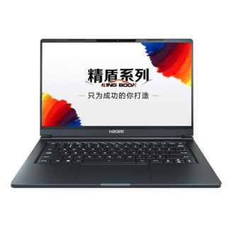 Hasee 神舟 精盾 U45A2 14.0英寸 商务本 黑色（酷睿i5-10210U、MX250、8GB、512GB SSD、1080P、IPS、60Hz）