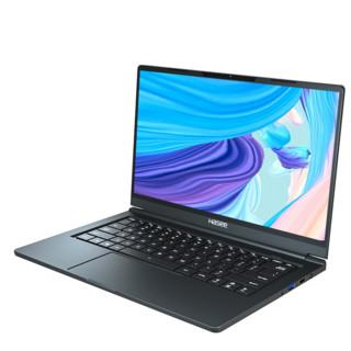 Hasee 神舟 精盾 U43E1 14.0英寸 轻薄本 黑色（奔腾5405U、MX250、8GB、256GB SSD、1080P、IPS、60Hz）