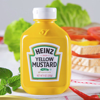 Heinz 亨氏 黄芥末调味酱 255g