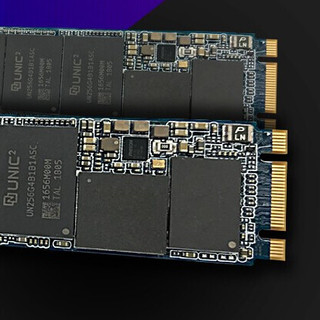 UNIC MEMORY 紫光存储 P100 NVMe M.2 固态硬盘 512GB（PCI-E3.0）