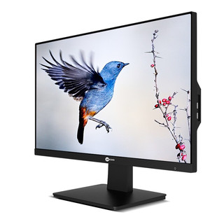 Lenovo 联想 Lecoo AIO 酷2488 23.8英寸 商用一体机 黑色（赛扬J4105、核芯显卡、4GB、256GB SSD、1920x1080）